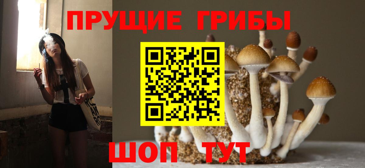 Муром  Галлюциногенные грибы Magic Shrooms  Вход с VPN 